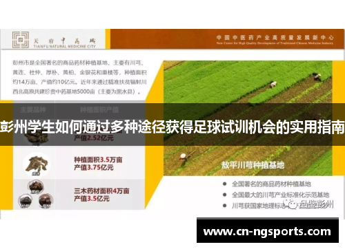 彭州学生如何通过多种途径获得足球试训机会的实用指南