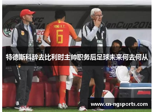 特德斯科辞去比利时主帅职务后足球未来何去何从